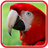 Parrots Live Wallpaper icon