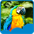 Parrots Live Wallpapers icon