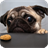Pug Dog Pack 2 Live Wallpaper icon