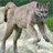Puma 3D Live Wallpaper icon