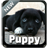 Puppy Keyboard icon
