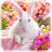 Lovely Rabbit Live Wallpaper icon