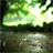 Raining in spring Wallpaper icon