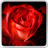 Rose Flower Live Wallpaper icon