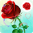 Rose Pictures Live Wallpaper icon