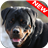 Rottweiler Wallpapers icon