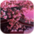 Sakura Live Wallpaper HD icon