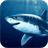 Scary shark icon