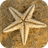 Sea Star Wallpaper icon