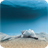 Seabed Wallpaper icon