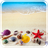 Beach Seashell Live Wallpaper icon