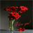 Red Flowers Pot LWP icon