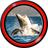 Shark Live Wallpapers icon