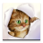 Silly Cat icon