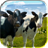Singing Dancing Cow Live WP icon