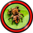 Spider Live Wallpapers icon