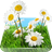 Summer Meadow Live Wallpaper icon