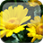 Natural Sunflower icon