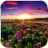 Sunset Meadow HD Wallpaper icon