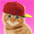 Sweet Cat and Caps icon