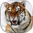 Tiger 3D Live Wallpaper icon