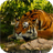 Tiger Live Wallpaper 4K icon