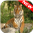 Tiger Wallpapers APK Download