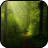 Forest Wallpapers icon