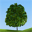 Tree Flow icon