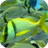Tropical Fish Reef HD icon