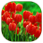 Tulip version 1.1