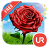 UR 3D Tulip Rose Live Theme icon