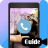 Video Calls Guide APK Download