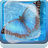 Water Butterfly icon