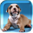 Wet Puppies Live Wallpaper icon