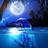 Whale MoonWave Free icon