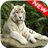 White Tiger Wallpapers icon