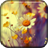 Wildflowers Live Wallpaper icon