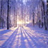 Winter and Snow Wallpaper APK Download