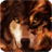 Wolf Live Wallpaper Animals icon
