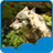 Wolf Live Wallpapers APK Download