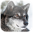 Wolves Live Wallpapers icon