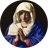 Mary HD Wallpapers icon