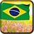 Brazil Flag icon