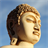 A quote from Buddha APK Download