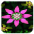 3D Flowers LiveWallpaper icon