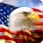 American Flag icon