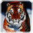 Angry Tiger Live Wallpaper icon