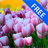 3D Springtime Tulips Carpet icon