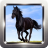 Arabian Horse Wallpapers icon